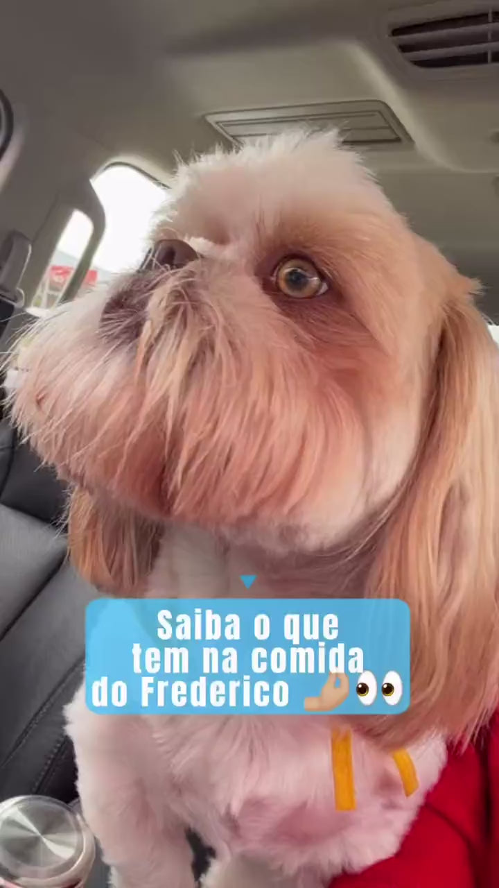 O que tem na comida do seu pet?