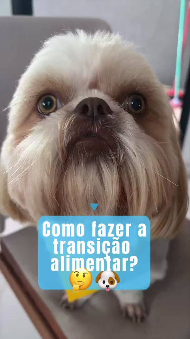 Guia de transição alimentar